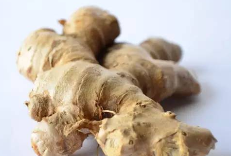 冬吃萝卜夏吃姜 冬吃萝卜夏吃姜