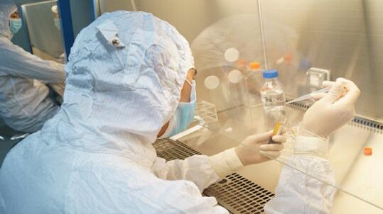 人体最新91视频网站