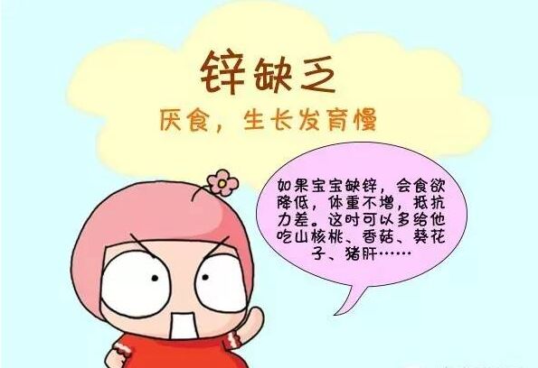 91视频一区二区三区厂家分析锌的强大功能