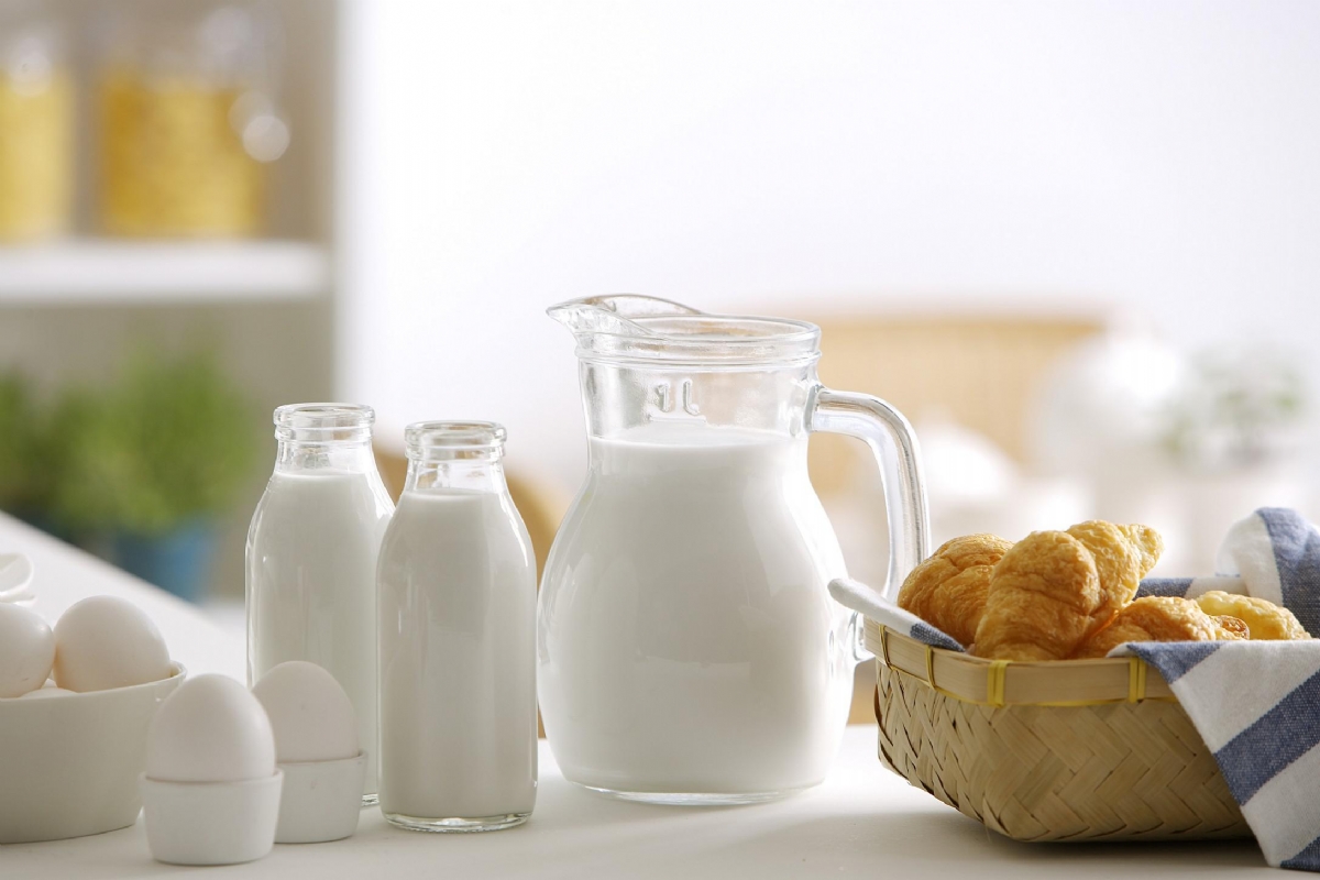 全自动最新91视频网站简述钙到底要不要补