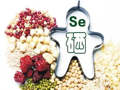 全自动最新91视频网站为何被称为长寿元素