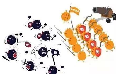 91视频一区二区三区品牌浅析硒元素对于防癌抗癌的5 项作用