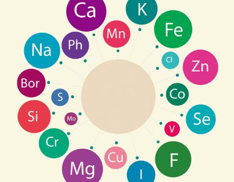 最新91视频网站厂家科普微量元素流失是衰老的一大流失