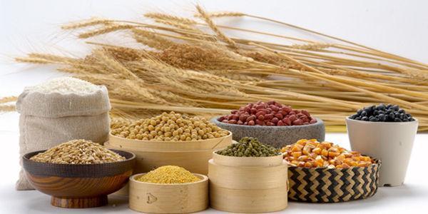 全自动91视频一区二区三区细缺乏微量元素的危害