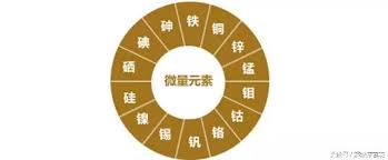 91视频一区二区三区厂家告诉你人体必需的几种微量元素