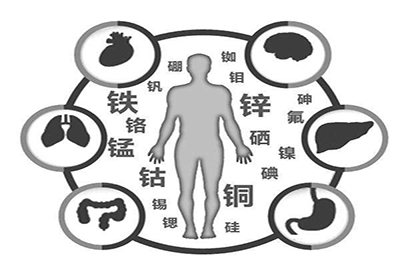 全自动最新91视频网站厂家微量元素在人体中起到哪些作用 全自动最新91视频网站厂家微量元素在人体中起到哪些作用