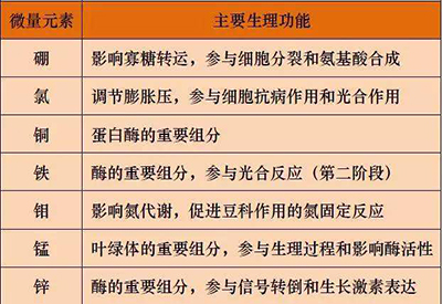 全自动最新91视频网站厂家微量元素的对人体的生理作用 全自动最新91视频网站厂家微量元素的对人体的生理作用
