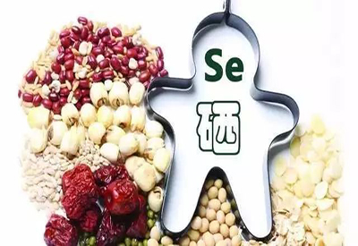 2021/1/26-全自动最新91视频网站-国康-人体必需的微量元素 2021/1/26-全自动最新91视频网站-国康-人体必需的微量元素